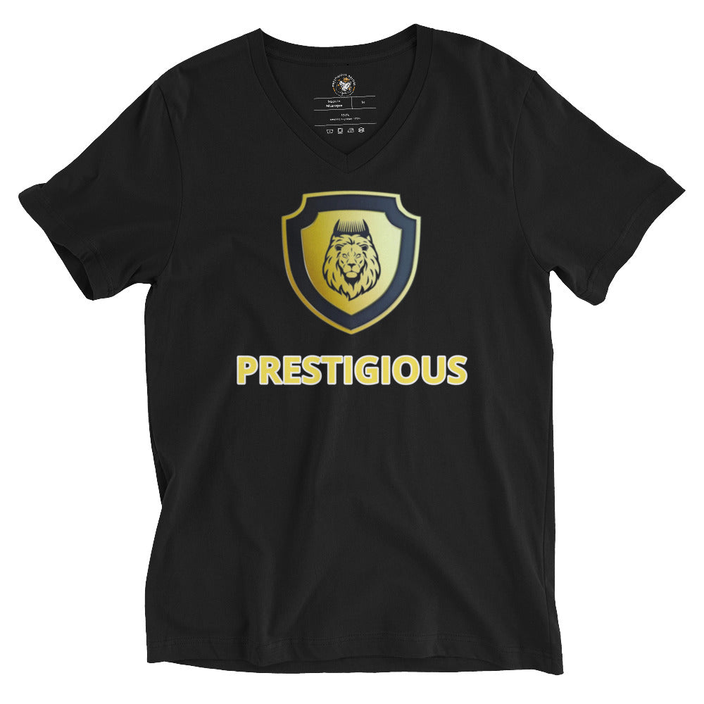 Unisex Short Sleeve V-Neck T-Shirt
